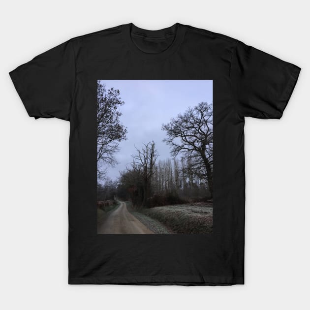 France, Winter Day T-Shirt by golan22may